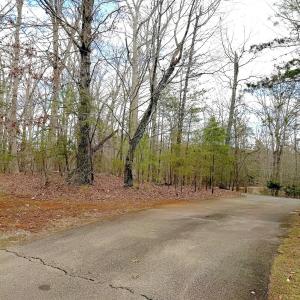 Photo #5 of Off of Runaway Bay Rd, Lynch Station, VA 1.5 acres