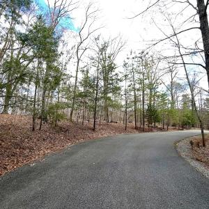 Photo #6 of Off of Runaway Bay Rd, Lynch Station, VA 1.5 acres