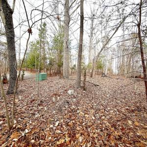 Photo #8 of Off of Runaway Bay Rd, Lynch Station, VA 1.5 acres