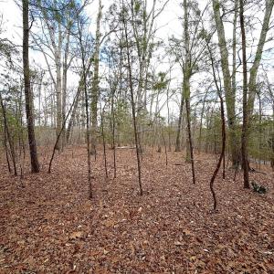 Photo #22 of Off of Runaway Bay Rd, Lynch Station, VA 1.5 acres
