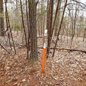 Photo #23 of Off of Runaway Bay Rd, Lynch Station, VA 1.5 acres