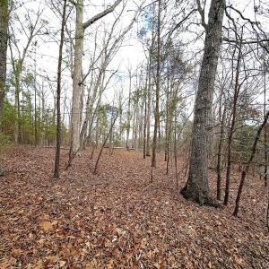 Photo #25 of Off of Runaway Bay Rd, Lynch Station, VA 1.5 acres