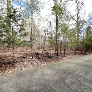 Photo #27 of Off of Runaway Bay Rd, Lynch Station, VA 1.5 acres