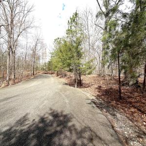 Photo #28 of Off of Runaway Bay Rd, Lynch Station, VA 1.5 acres