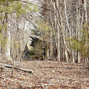 Photo #29 of Off of Runaway Bay Rd, Lynch Station, VA 1.5 acres