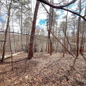 Photo #30 of Off of Runaway Bay Rd, Lynch Station, VA 1.5 acres