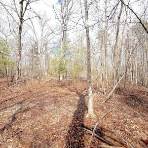 Photo #31 of Off of Runaway Bay Rd, Lynch Station, VA 1.5 acres