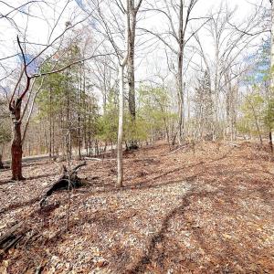 Photo #32 of Off of Runaway Bay Rd, Lynch Station, VA 1.5 acres