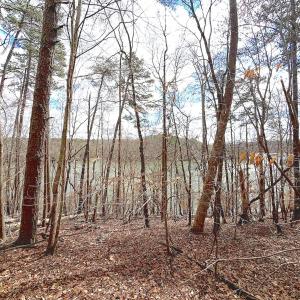 Photo #33 of Off of Runaway Bay Rd, Lynch Station, VA 1.5 acres