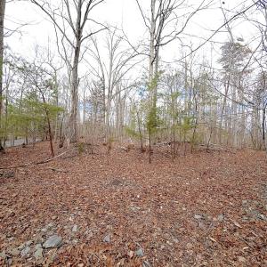 Photo #34 of Off of Runaway Bay Rd, Lynch Station, VA 1.5 acres