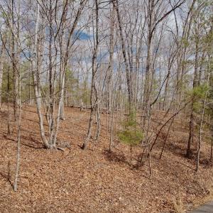 Photo #35 of Off of Runaway Bay Rd, Lynch Station, VA 1.5 acres