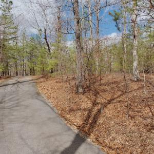 Photo #36 of Off of Runaway Bay Rd, Lynch Station, VA 1.5 acres