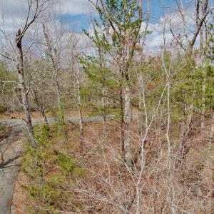 Photo #37 of Off of Runaway Bay Rd, Lynch Station, VA 1.5 acres