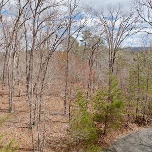 Photo #39 of Off of Runaway Bay Rd, Lynch Station, VA 1.5 acres