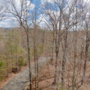 Photo #40 of Off of Runaway Bay Rd, Lynch Station, VA 1.5 acres