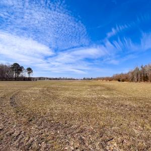 Photo #4 of Off of West Rd, Chesapeake, VA 58.0 acres