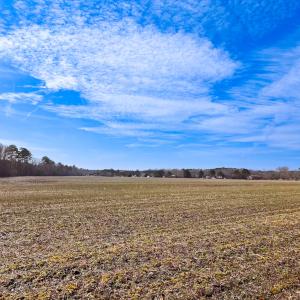 Photo #7 of Off of West Rd, Chesapeake, VA 58.0 acres