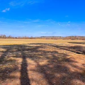 Photo #8 of Off of West Rd, Chesapeake, VA 58.0 acres