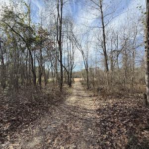 Photo #43 of Off NC 42, Tarboro, NC 39.7 acres