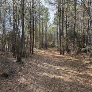 Photo #46 of Off NC 42, Tarboro, NC 39.7 acres