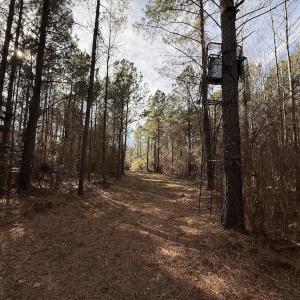 Photo #47 of Off NC 42, Tarboro, NC 39.7 acres