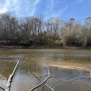 Photo #51 of Off NC 42, Tarboro, NC 39.7 acres