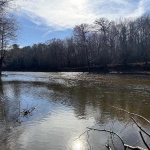 Photo #52 of Off NC 42, Tarboro, NC 39.7 acres