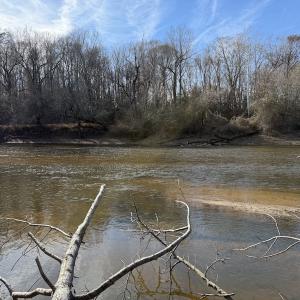 Photo #53 of Off NC 42, Tarboro, NC 39.7 acres