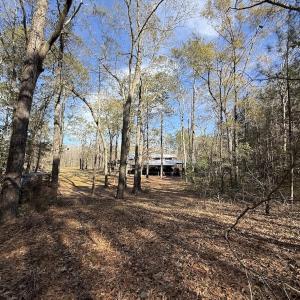 Photo #62 of Off NC 42, Tarboro, NC 39.7 acres