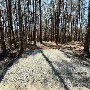 Photo #10 of Off of Creek Place Rd, Arapahoe, NC 2.2 acres