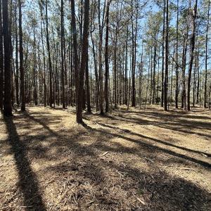 Photo #11 of Off of Creek Place Rd, Arapahoe, NC 2.2 acres