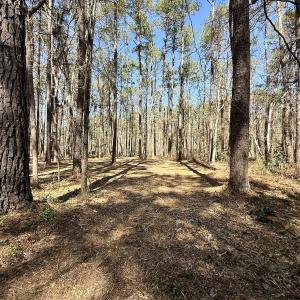 Photo #15 of Off of Creek Place Rd, Arapahoe, NC 2.2 acres