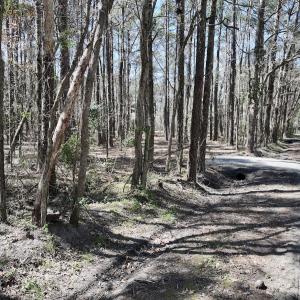 Photo #19 of Off of Creek Place Rd, Arapahoe, NC 2.2 acres