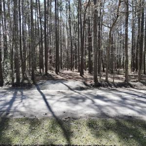 Photo #20 of Off of Creek Place Rd, Arapahoe, NC 2.2 acres