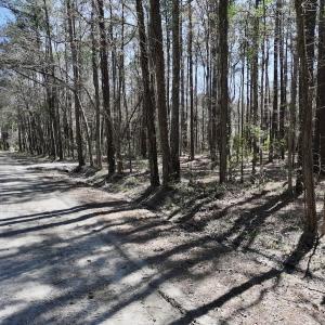 Photo #21 of Off of Creek Place Rd, Arapahoe, NC 2.2 acres