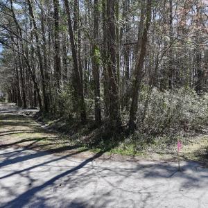 Photo #10 of Off Creek Place, Arapahoe, NC 2.2 acres