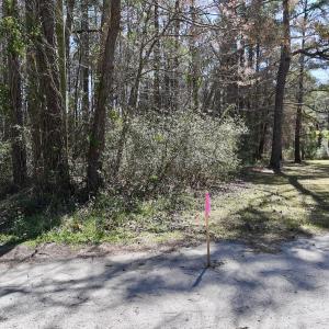 Photo #11 of Off Creek Place, Arapahoe, NC 2.2 acres