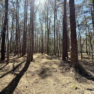 Photo #12 of Off Creek Place, Arapahoe, NC 2.2 acres