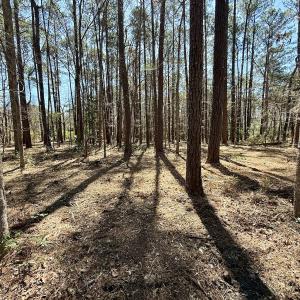 Photo #13 of Off Creek Place, Arapahoe, NC 2.2 acres