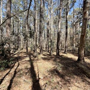 Photo #16 of Off Creek Place, Arapahoe, NC 2.2 acres