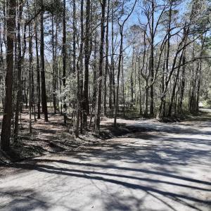 Photo #8 of Off Creek Place, Arapahoe, NC 2.2 acres