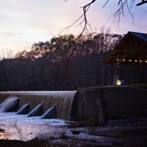 Photo #35 of 13496 Shands Road, Stony Creek, VA 44.0 acres