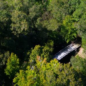 Photo #32 of 13496 Shands Road, Stony Creek, VA 44.0 acres