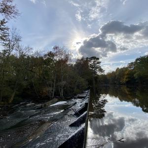 Photo #33 of 13496 Shands Road, Stony Creek, VA 44.0 acres