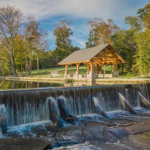 Photo #34 of 13496 Shands Road, Stony Creek, VA 44.0 acres