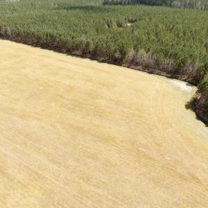 Photo #10 of Off of Medical Center Rd, Gates, NC 37.8 acres