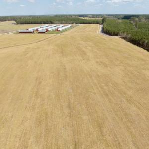 Photo #11 of Off of Medical Center Rd, Gates, NC 37.8 acres