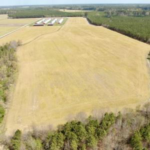 Photo #12 of Off of Medical Center Rd, Gates, NC 37.8 acres