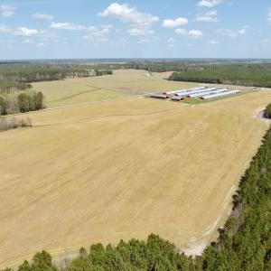 Photo #13 of Off of Medical Center Rd, Gates, NC 37.8 acres