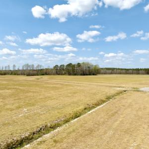 Photo #17 of Off of Medical Center Rd, Gates, NC 37.8 acres